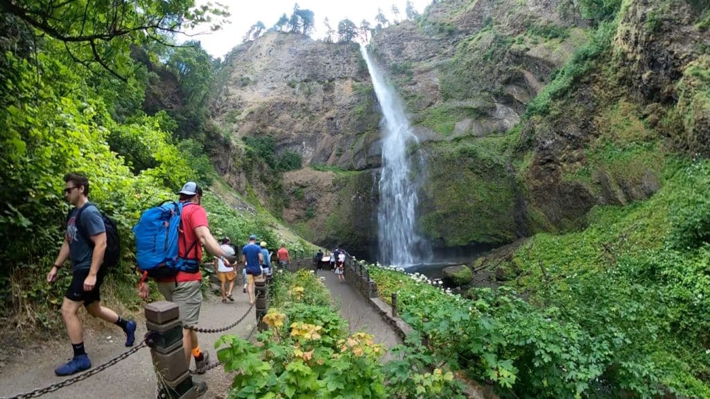 Wahkeena Falls & Multnomah Falls Loop Hike Pictures