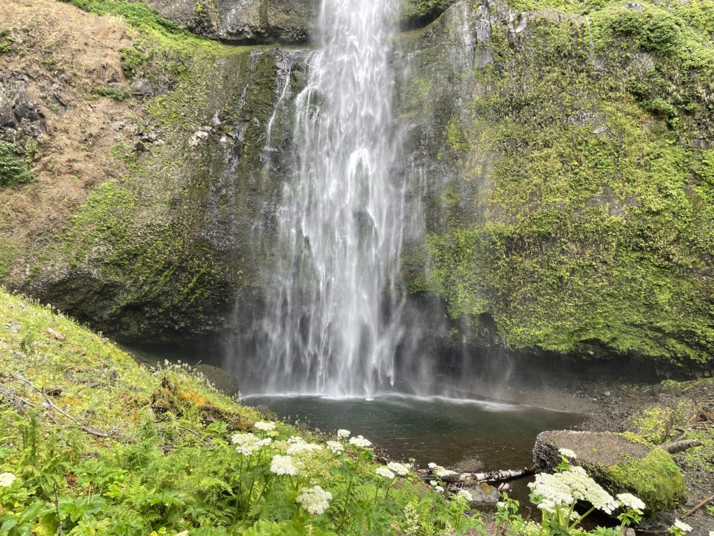 Wahkeena Falls & Multnomah Falls Loop Hike Pictures