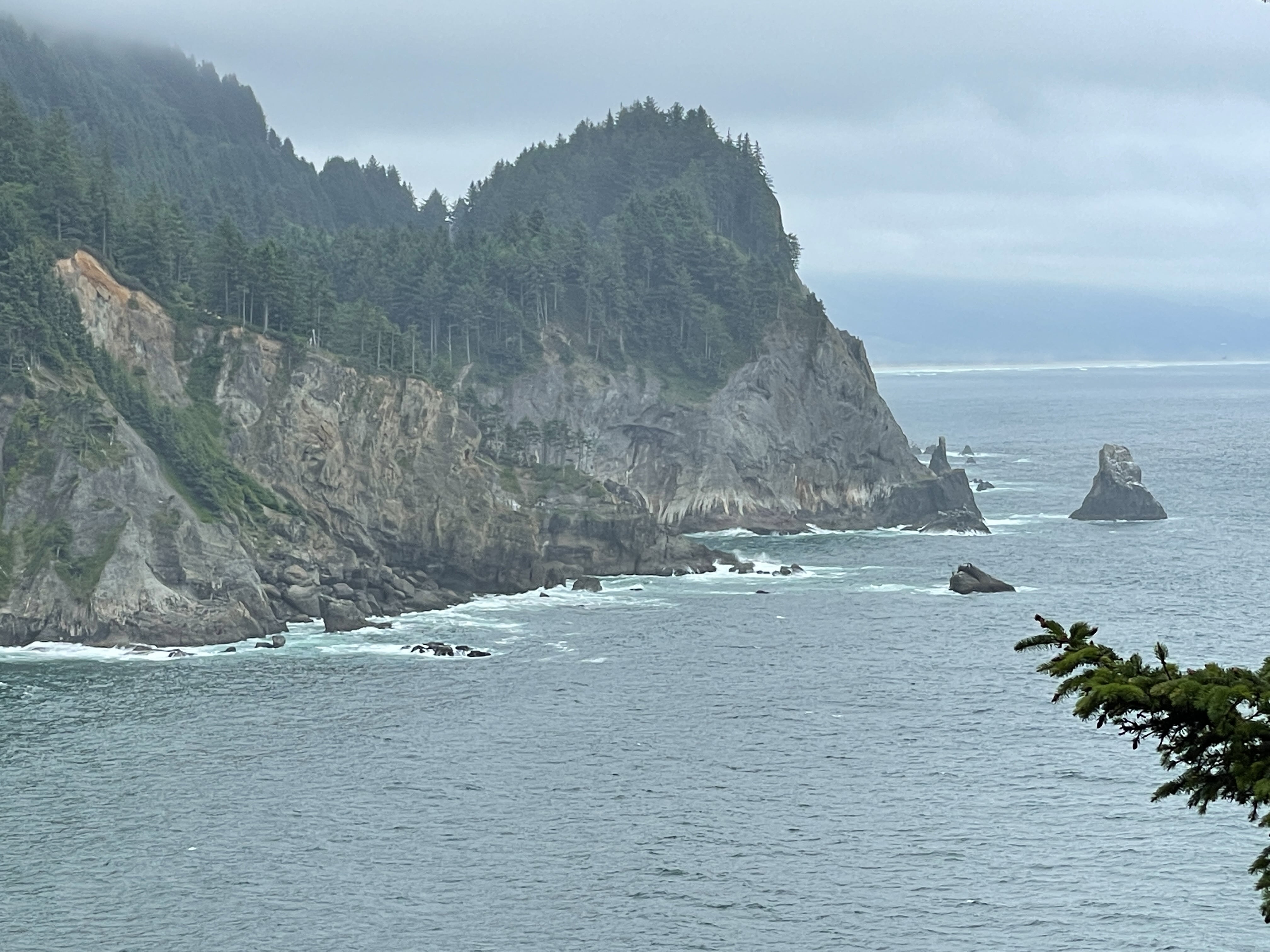 Cape Falcon Oregon Coast Hike Guide - Virtual Sherpa