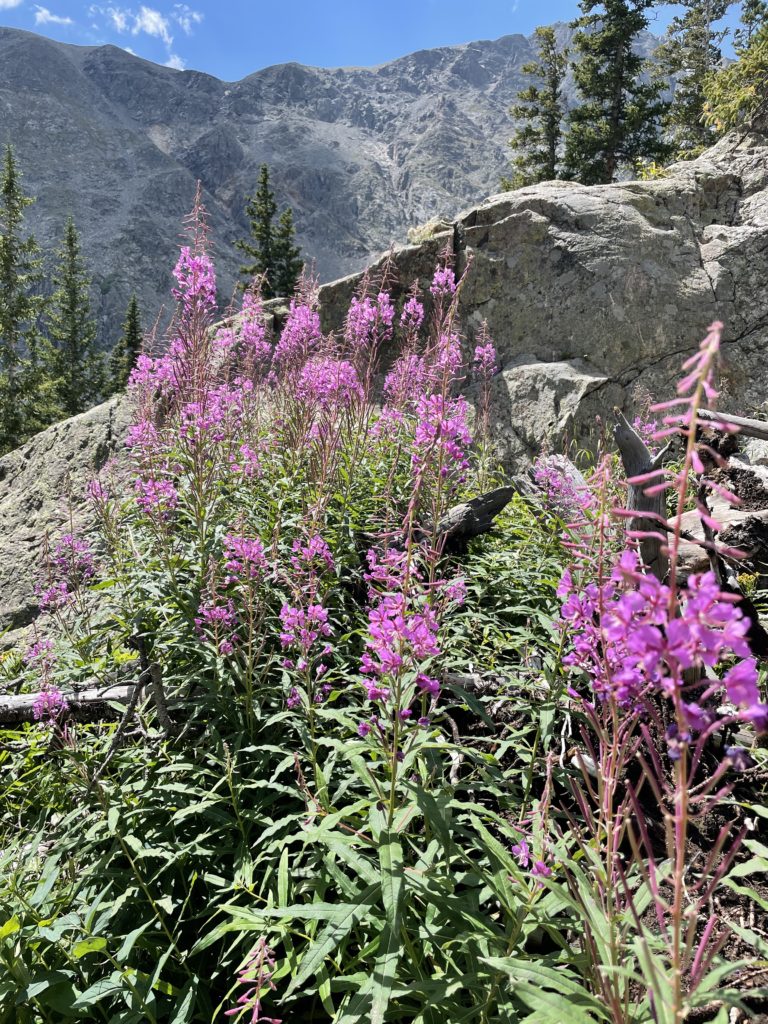 Pacific Peak East Ridge Colorado Hike Pictures