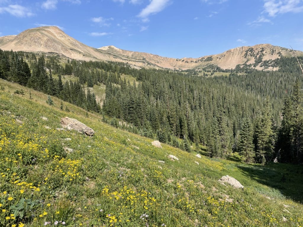 Butler Gulch Hike Pictures