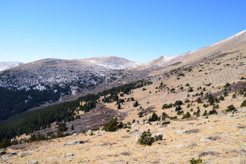 Rosalie Peak Colorado 13er Hike Pictures