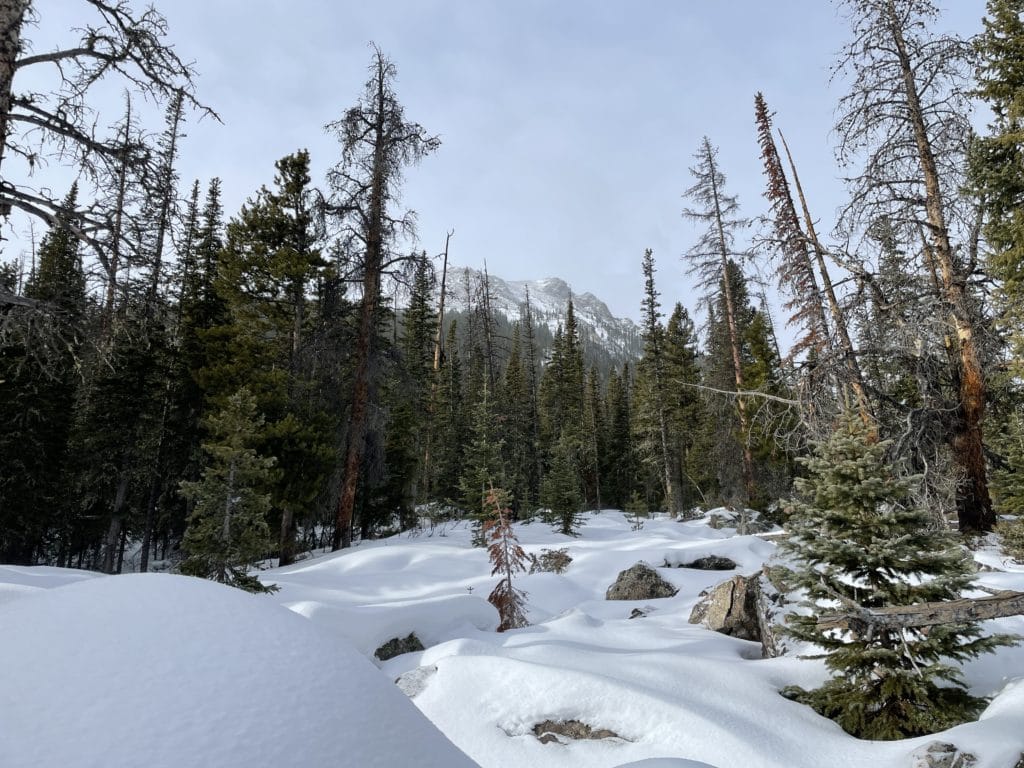 Willow Creeks Falls Silverthorne Hike Pictures