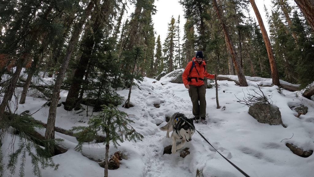 Willow Creeks Falls Silverthorne Hike Pictures