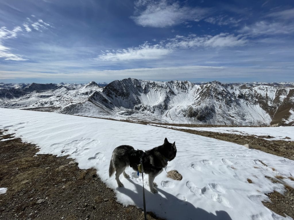 Mt Belford Colorado 14er Hike Pictures