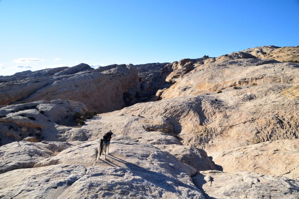 Wild Horse Window Utah Hike Pictures