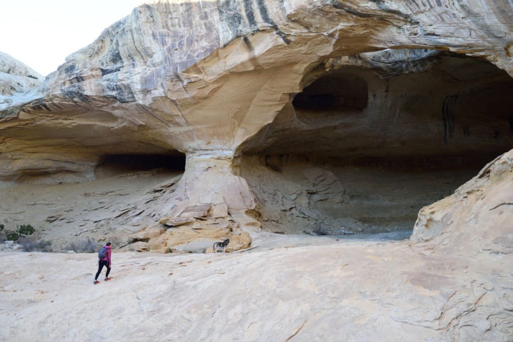 Wild Horse Window Utah Hike Pictures