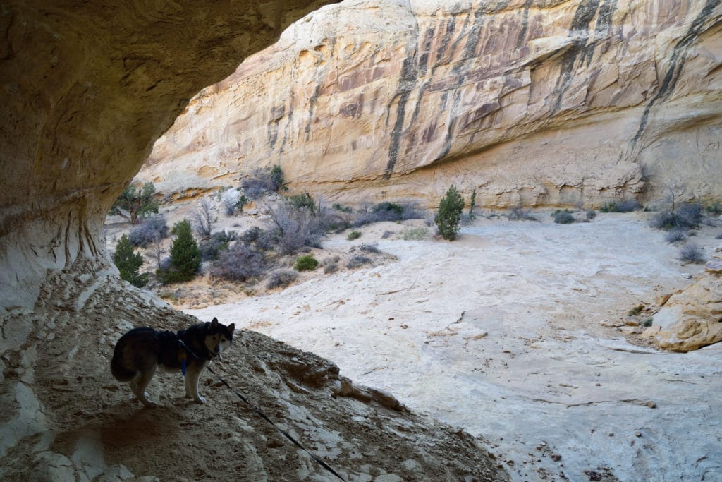 Wild Horse Window Utah Hike Pictures