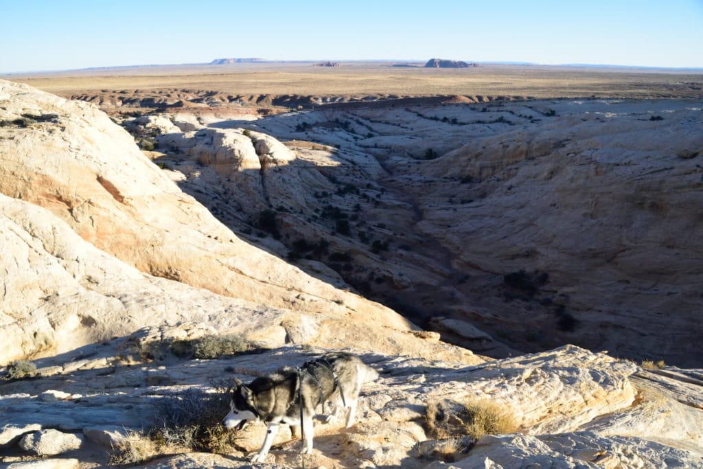 Wild Horse Window Utah Hike Pictures