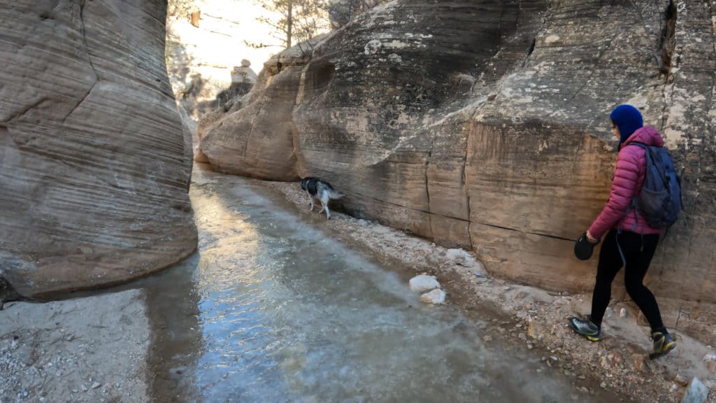 Willis Creek Slot Canyon Utah Hike Pictures