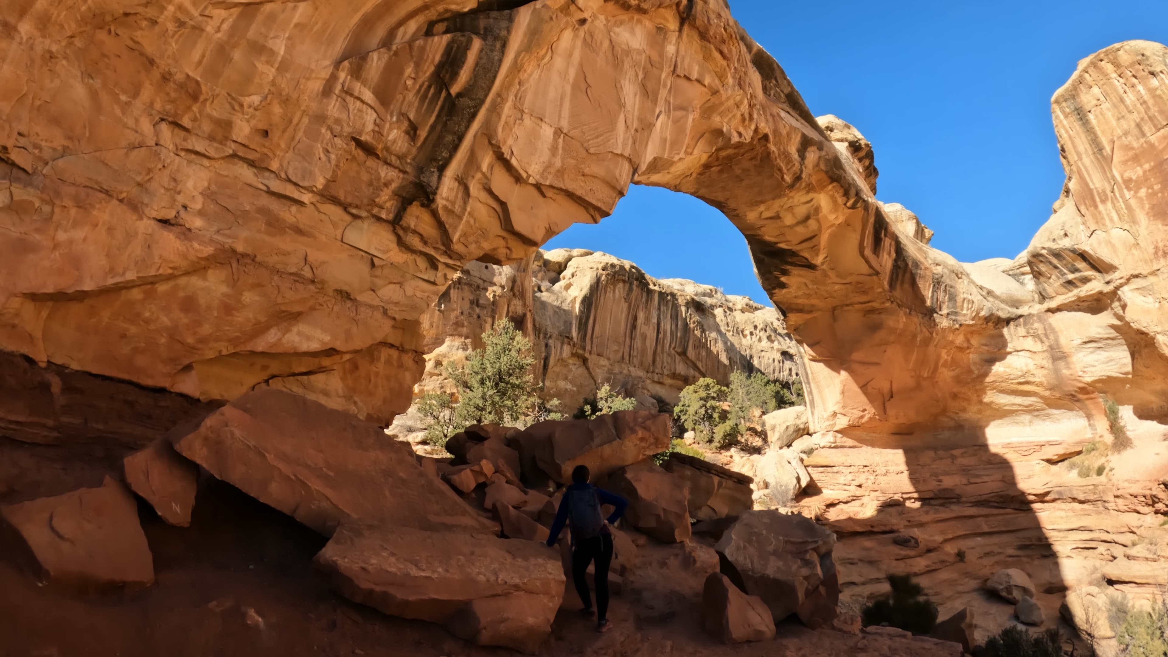 Hickman bridge 2024 hike capitol reef