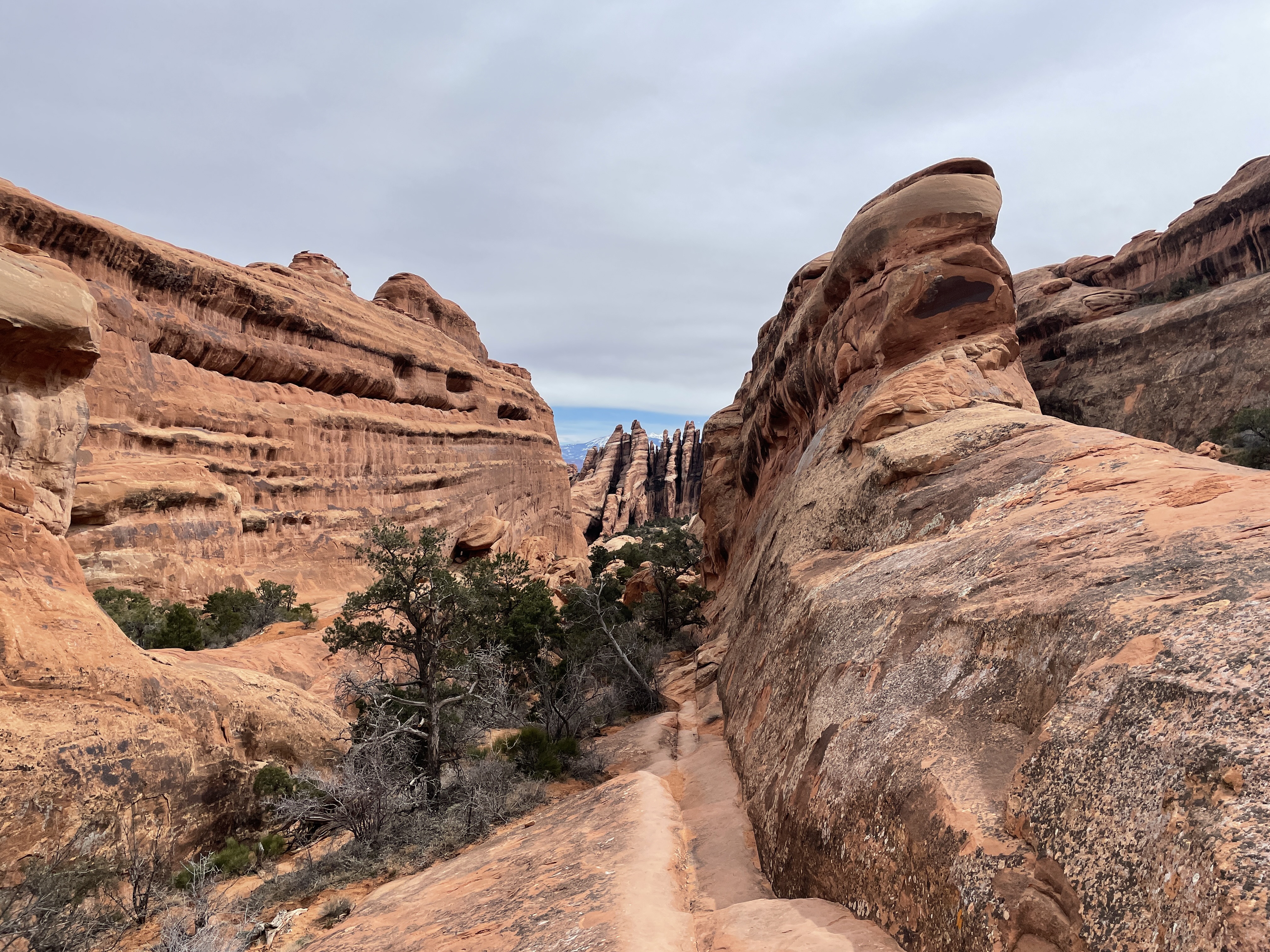 Devils Garden Arches NP Hike Pictures