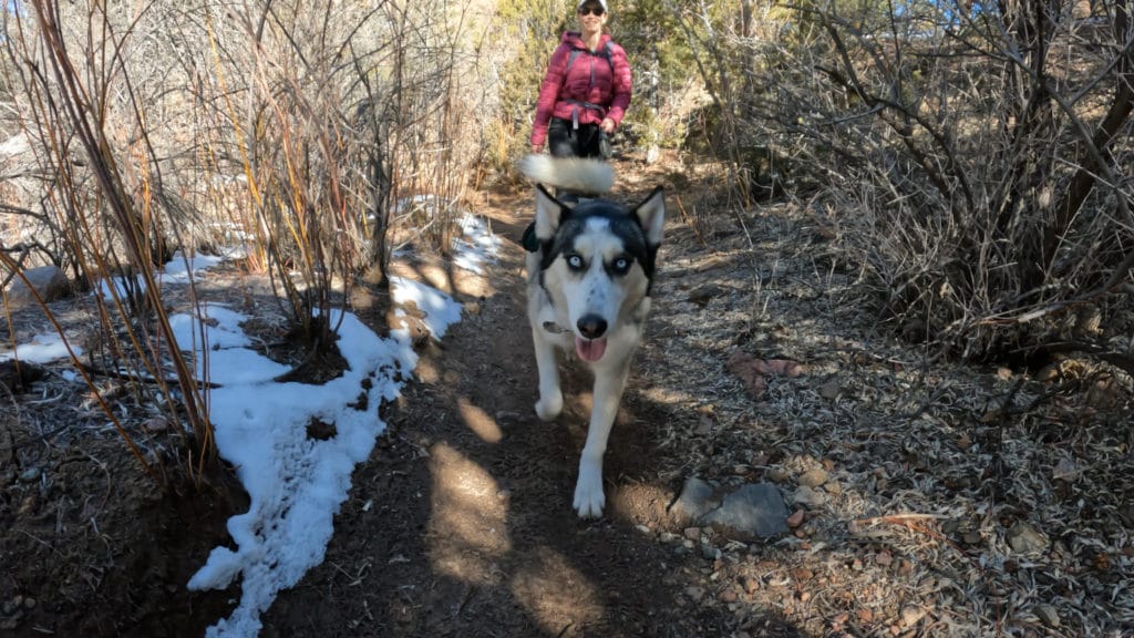 Atalaya Mountain Santa Fe Hike Pictures