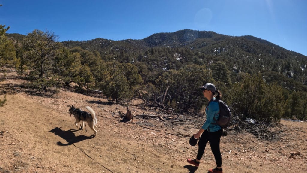 Atalaya Mountain Sante Fe Hike Guide - Virtual Sherpa