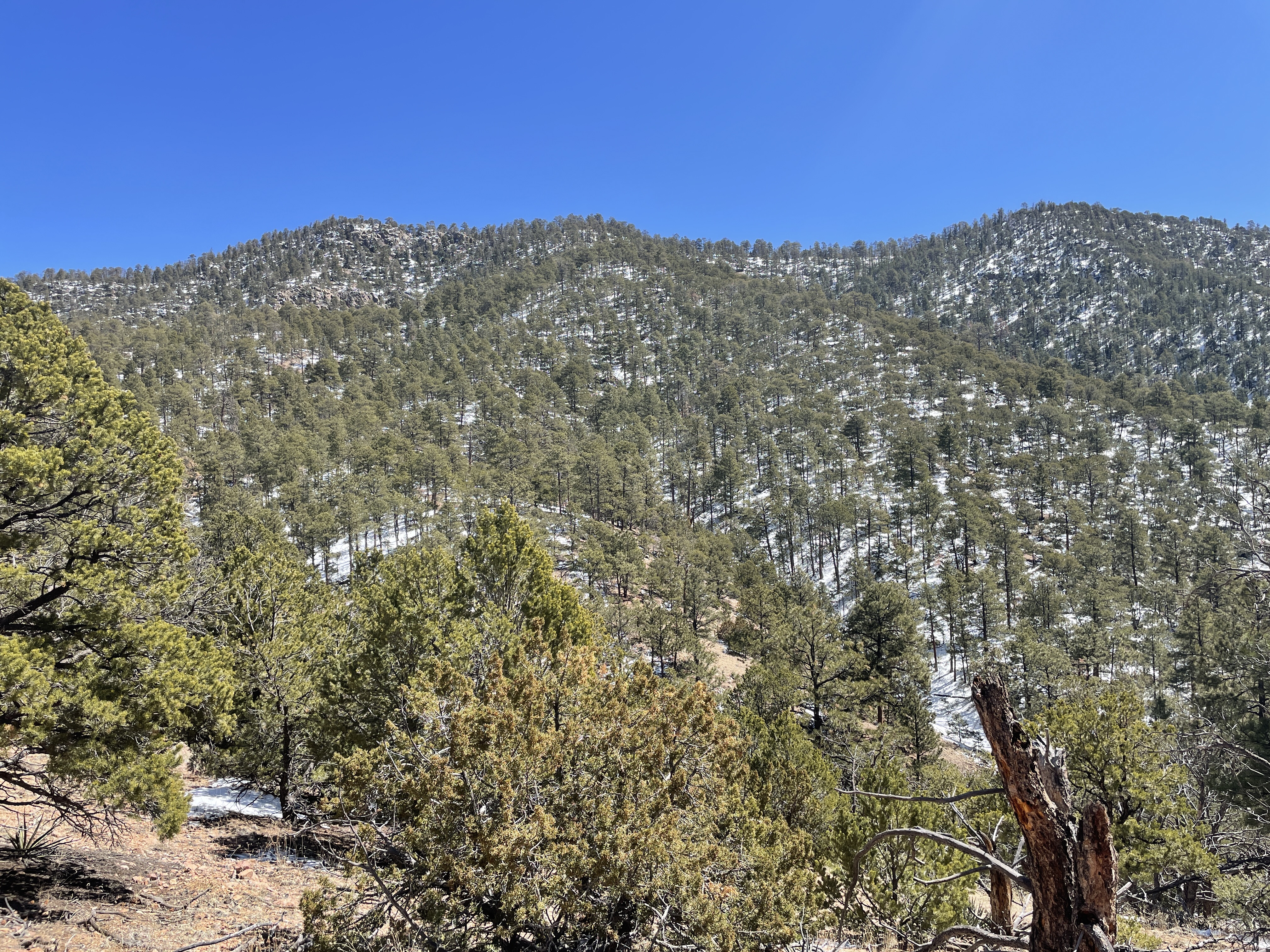 Atalaya Mountain Santa Fe Hike Pictures