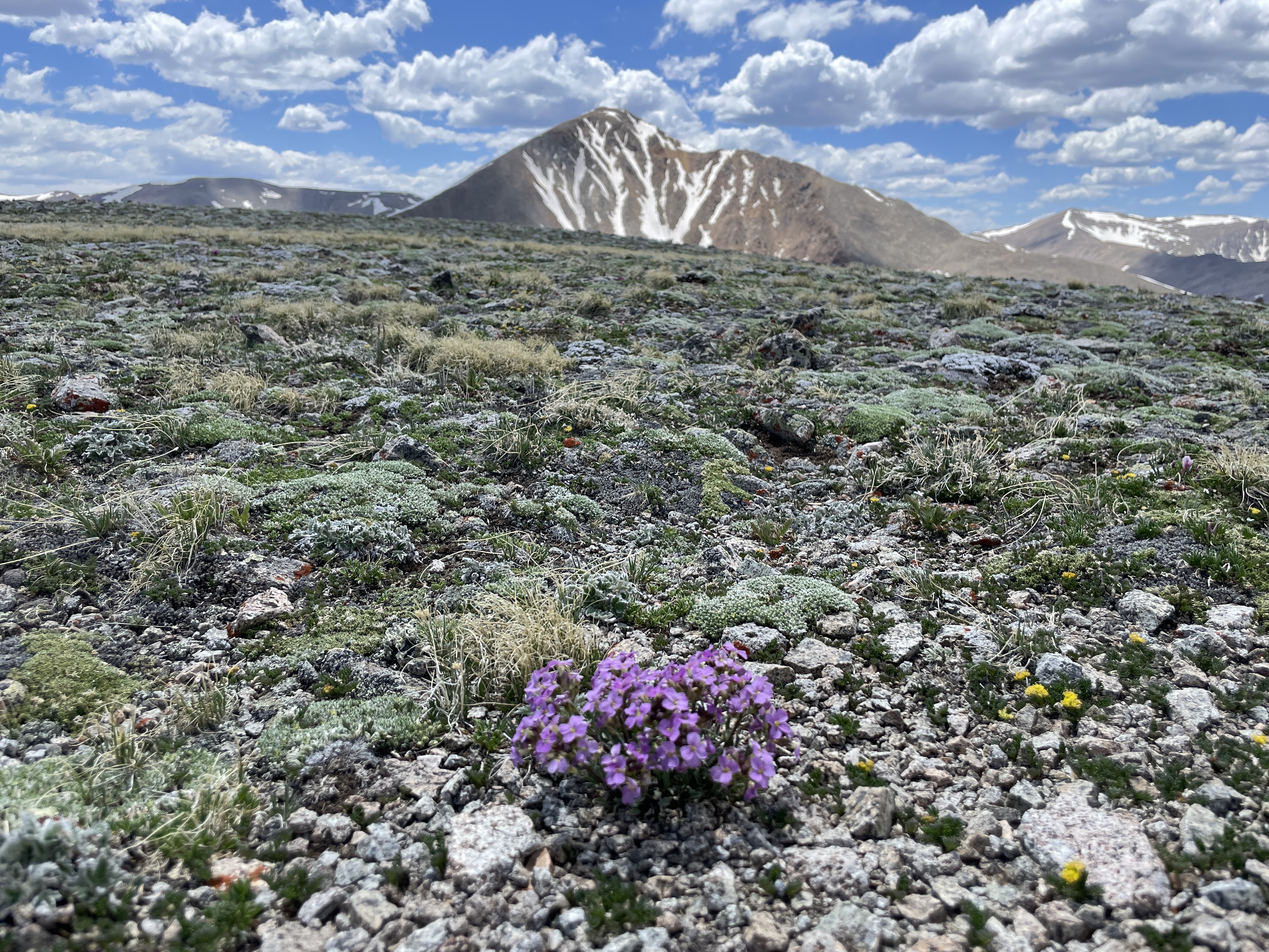 Cronin Peak Colorado 13er Hike Guide