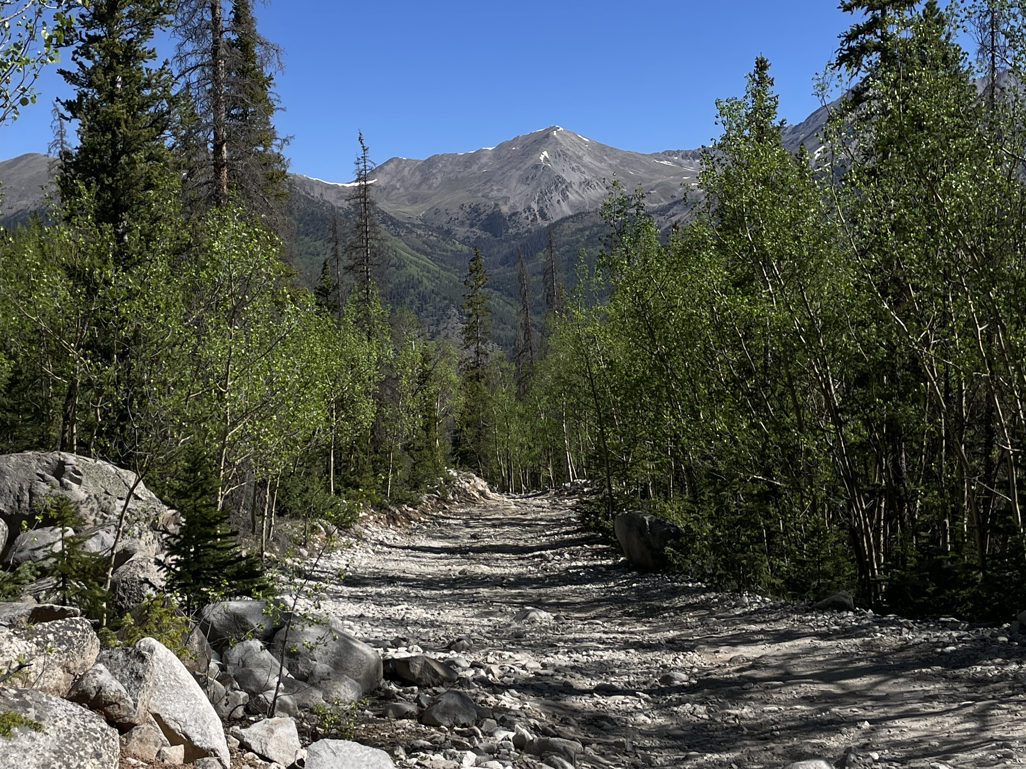 Cronin Peak Colorado 13er Hike Guide