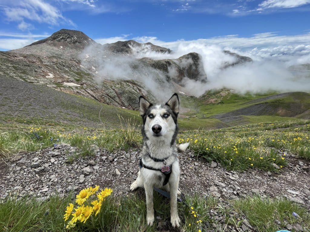 Colorado Trail Segment 24 Hike Pictures