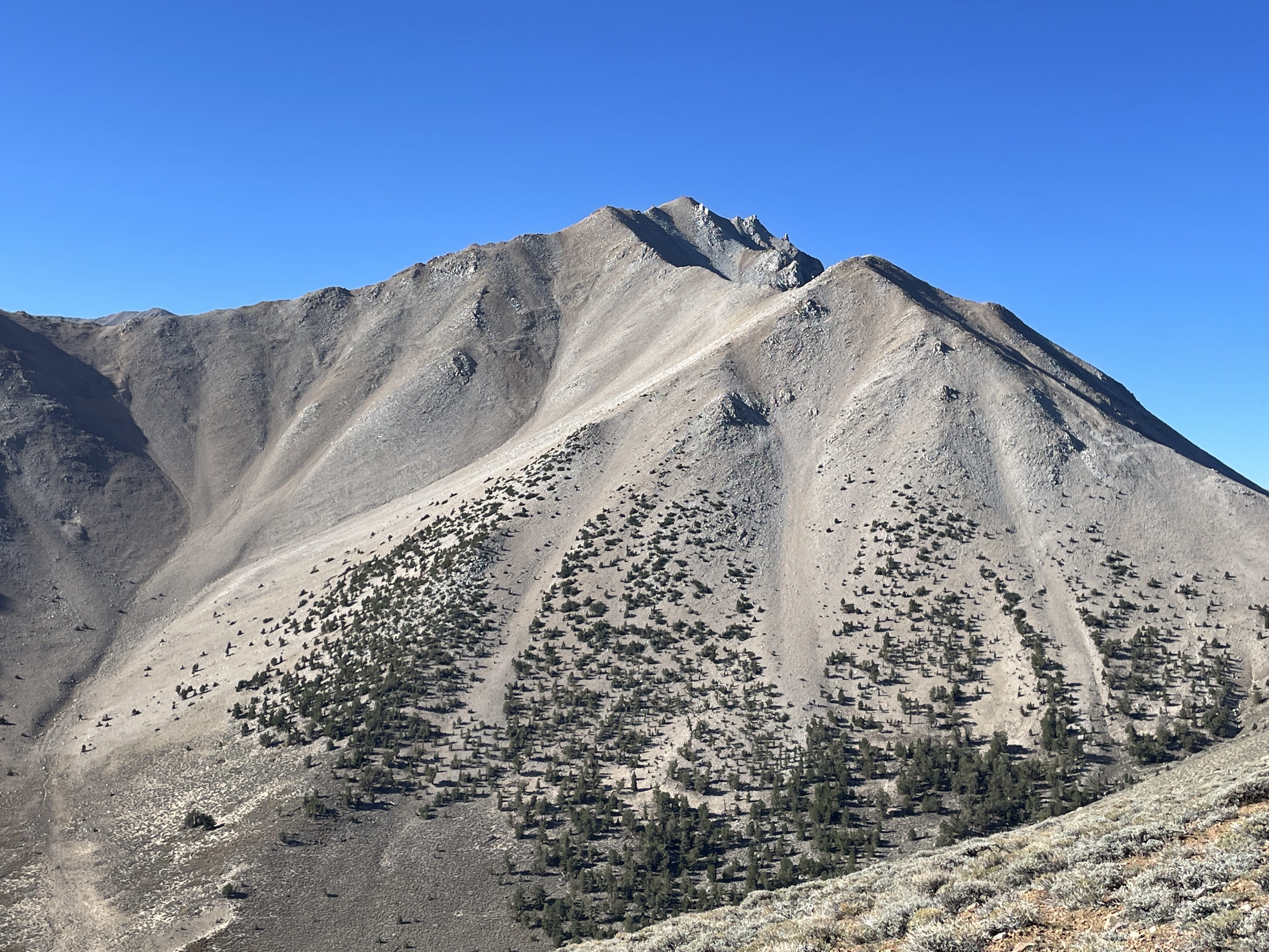 Boundary Peak Hike Pictures