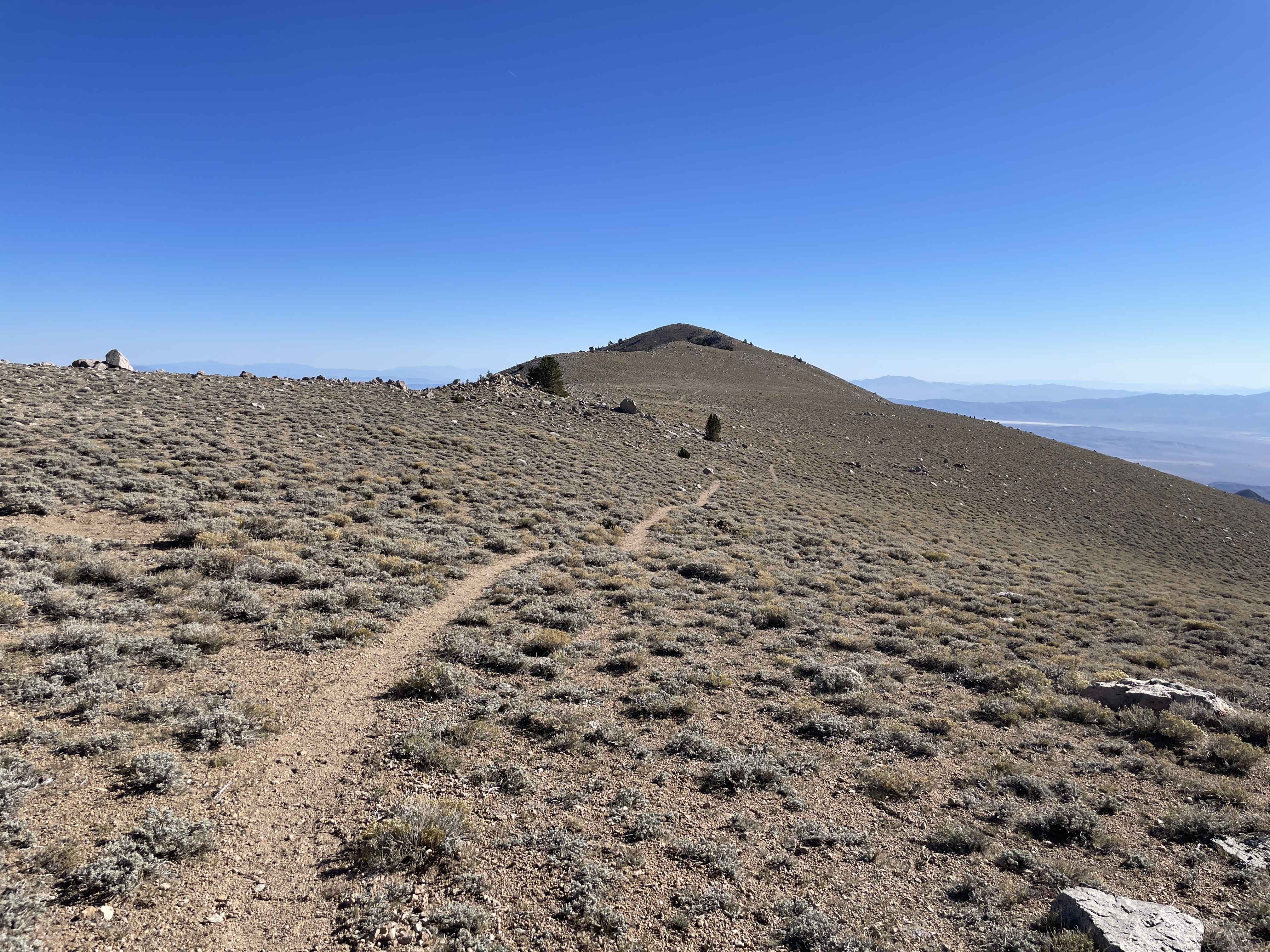 Boundary Peak Hike Pictures