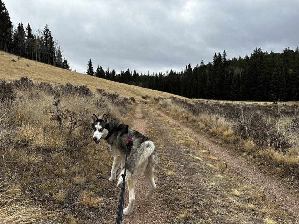 Raspberry Mountain Hike Pictures