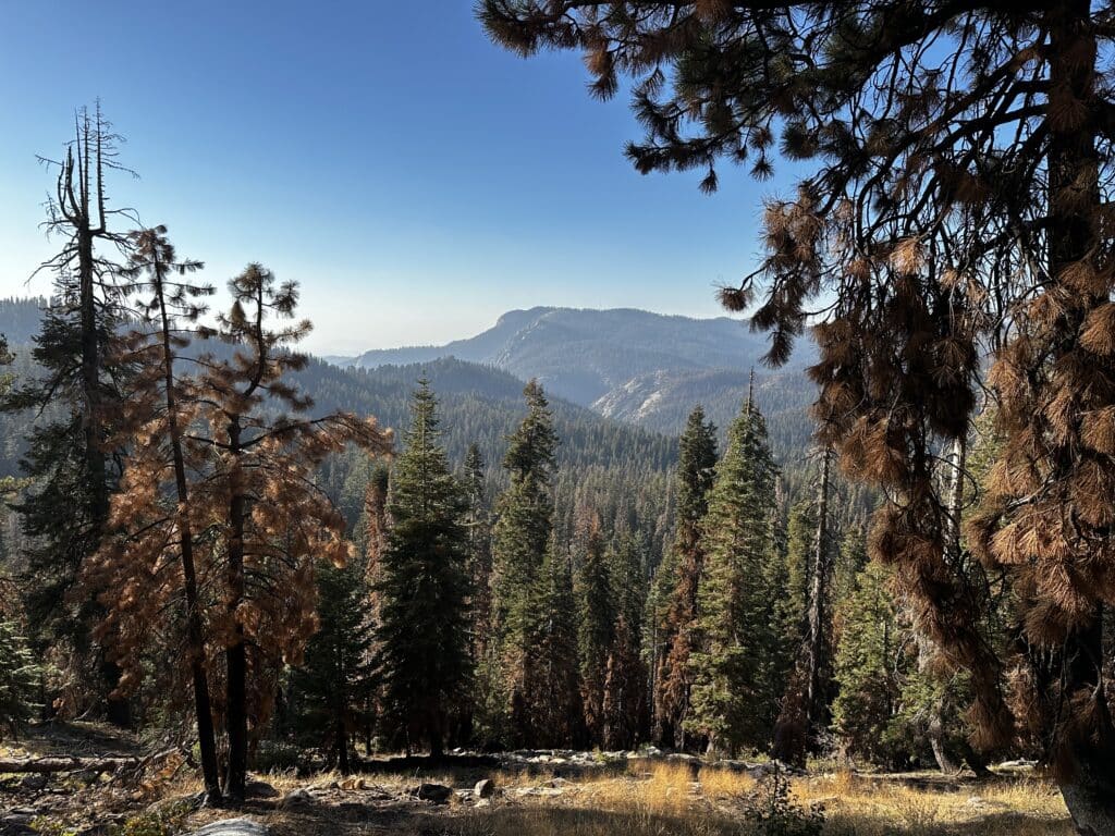 Little Baldy Dome Hike Pictures