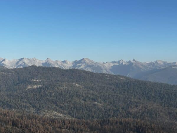 Little Baldy Dome Sequoia Hike Guide - Virtual Sherpa