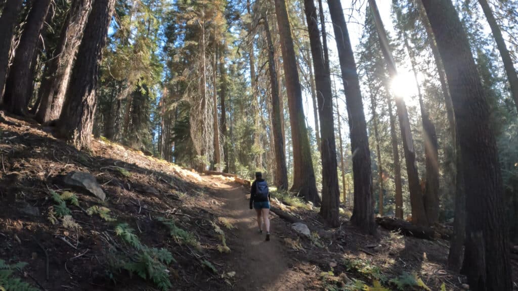 Little Baldy Dome Hike Pictures