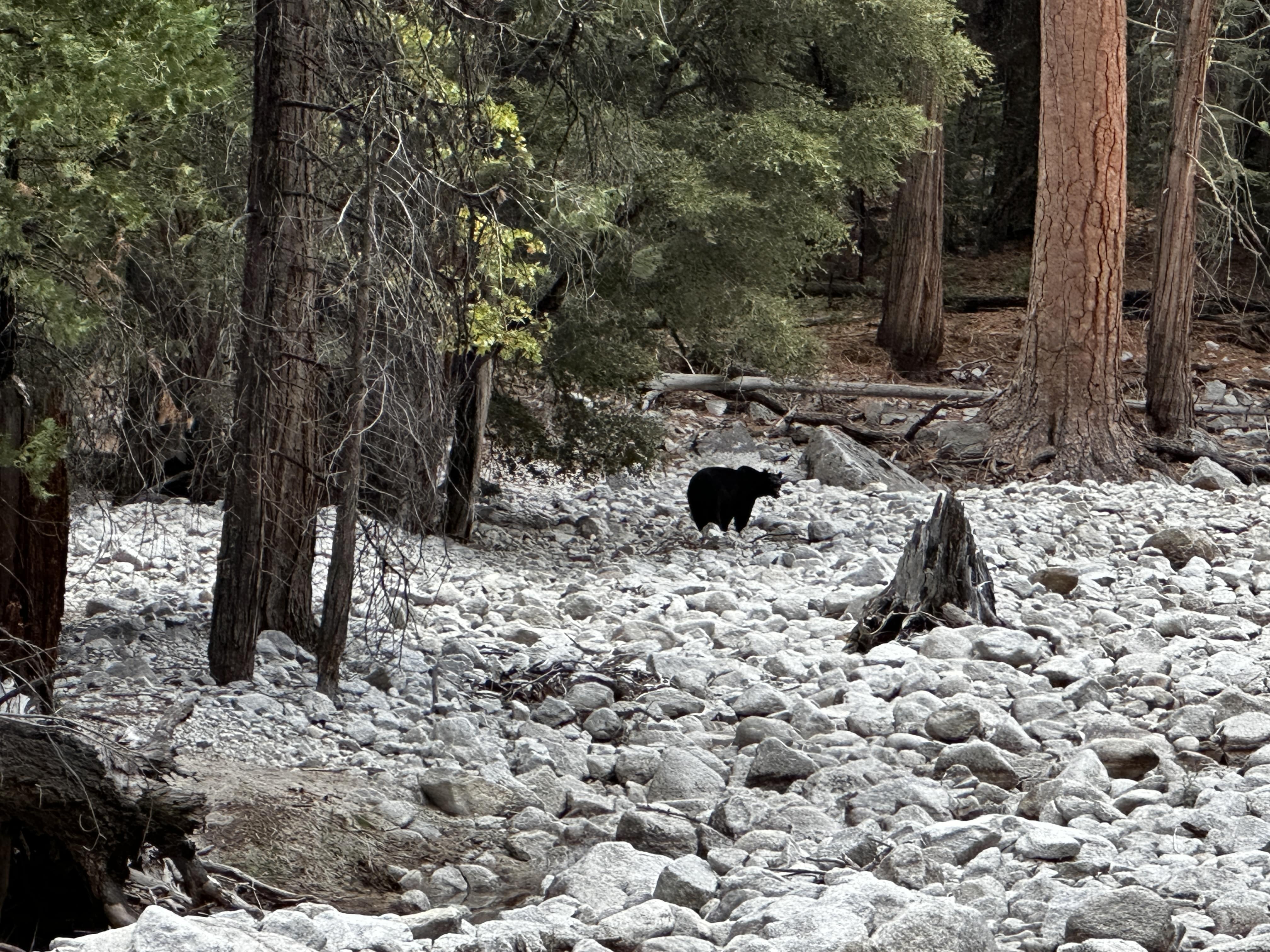 Mist Falls Kings Canyon Hike Pictures