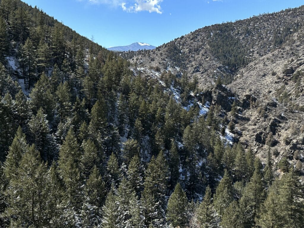 Beaver Brook Trail Colorado Hike Guide