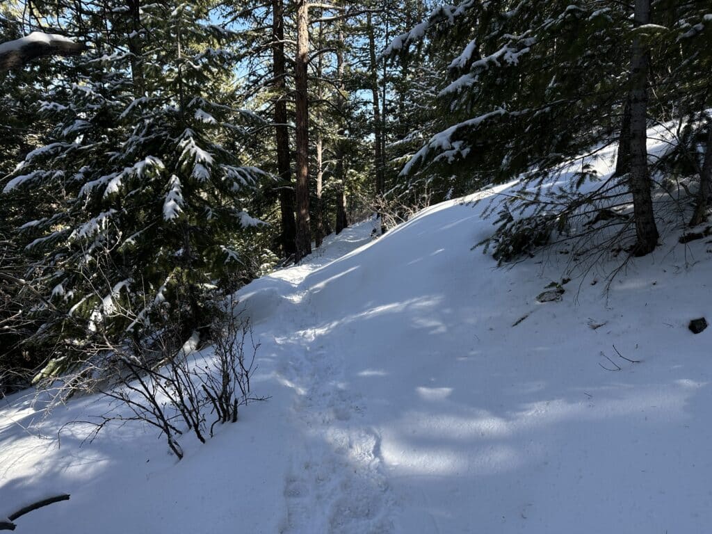 Beaver Brook Trail Colorado Hike Guide