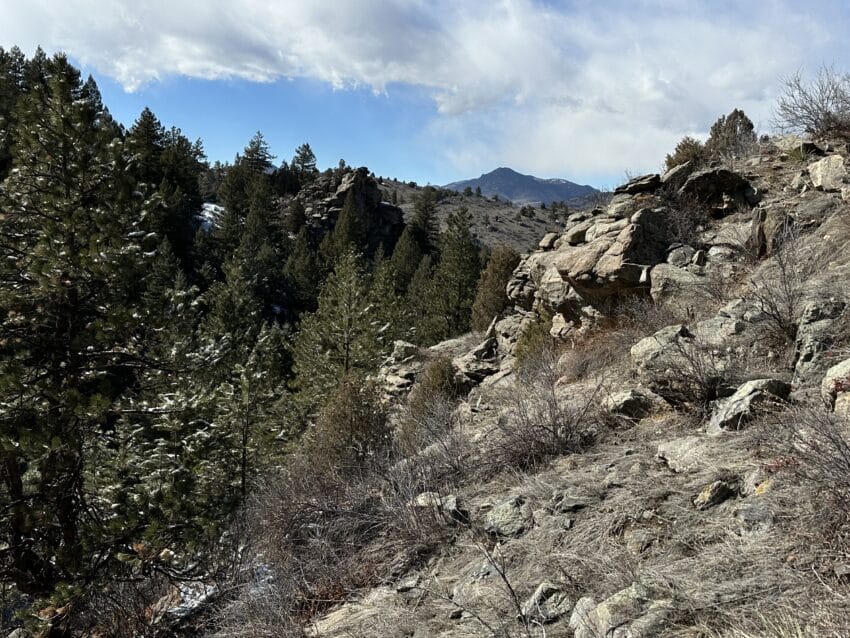 Beaver Brook Trail Colorado Hike Guide