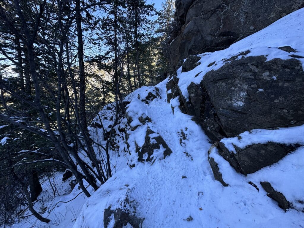 Beaver Brook Trail Colorado Hike Guide