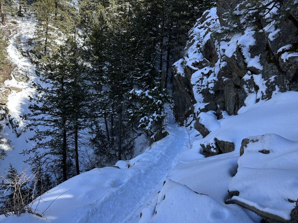 Beaver Brook Trail Colorado Hike Guide