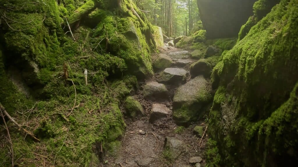 Pemigewasset Loop Trail Run Pictures