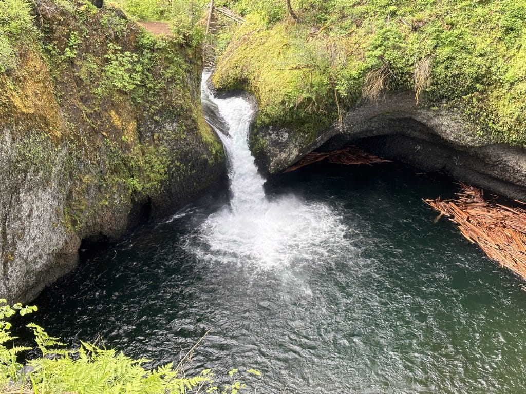 Tunnel Falls Hike Pictures