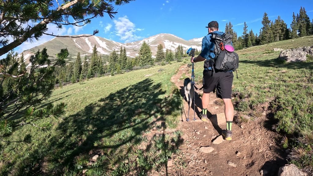 Mt Massive East Slopes Hike Pictures