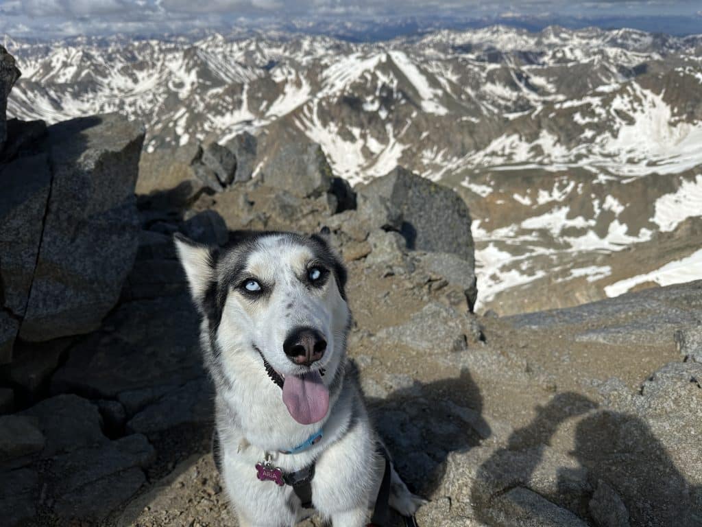 Mt Massive East Slopes Hike Pictures