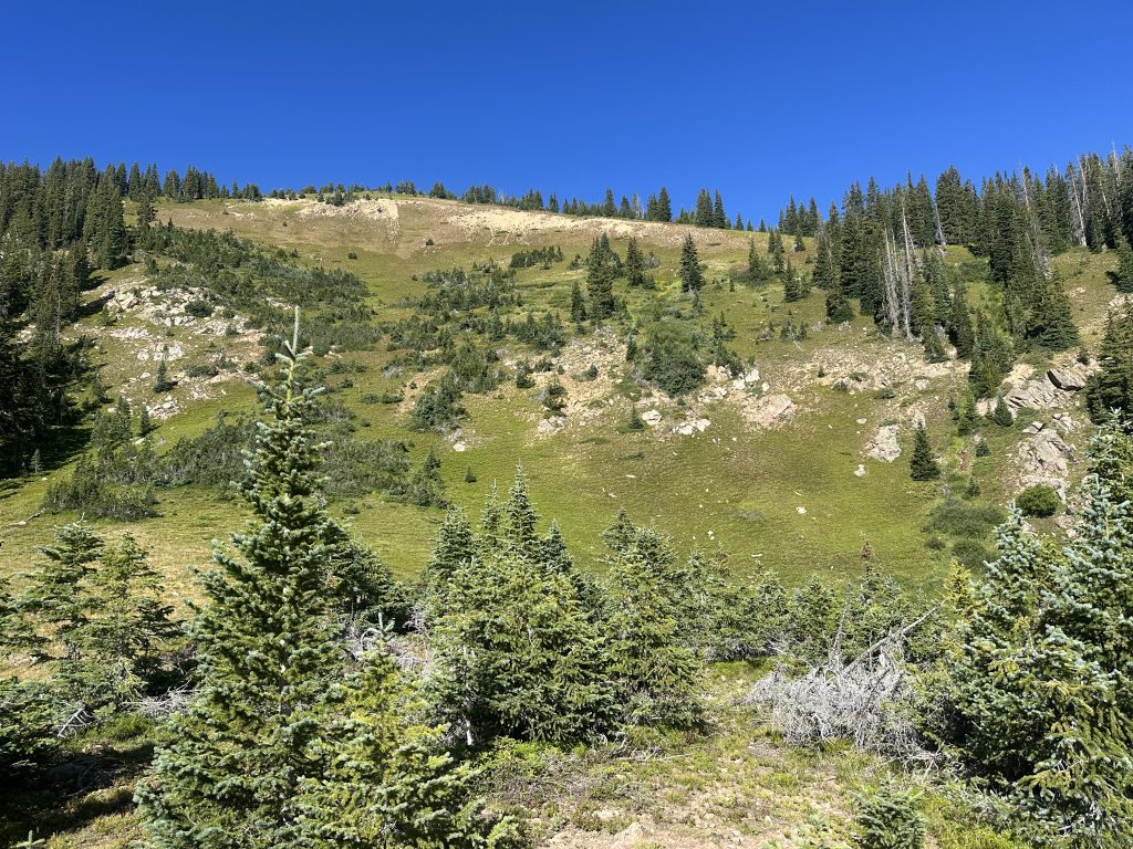 Keller Mountain Colorado Hike Pictures