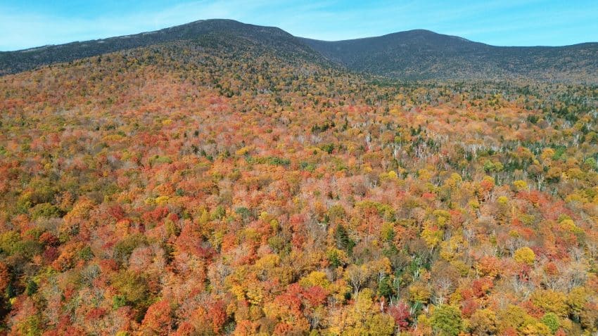 Mt Moosilauke Hike Pictures