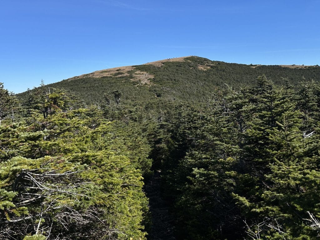 Mt Moosilauke Hike Pictures