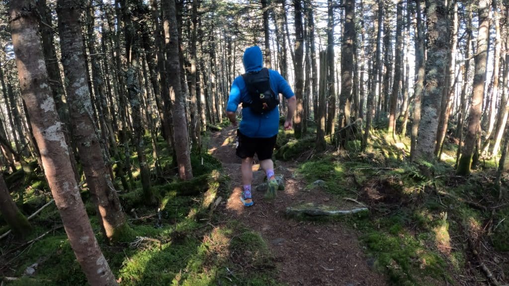 Mt Moosilauke Hike Pictures