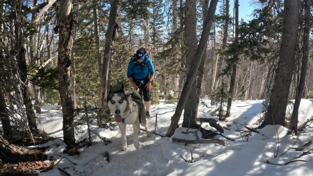 Humboldt Peak East Ridge Winter Hike Pictures